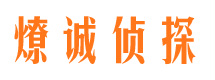 增城市调查公司